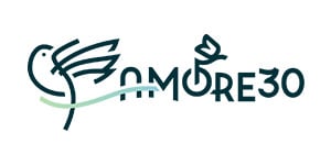 Amore30 logo